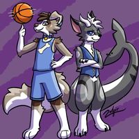 ash_shark.husky