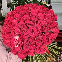 imperialflowersgalati