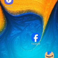 Lion_tv1