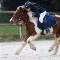 prupru_jump