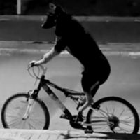 original sound - rupert 🔺️