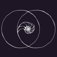 perceptiveperspective