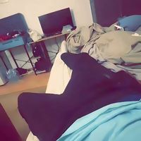 ll_zrk9
