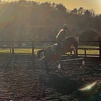 equine_eryn