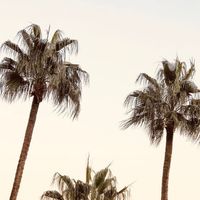 pinterestdollx