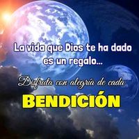 rebexd335