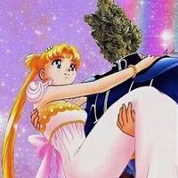 _pridurkiiiiiihaahwyjqkq