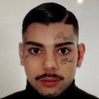 thomaspalombellareal