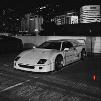 onlycarlovers23