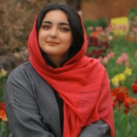pashtun.zalmay8