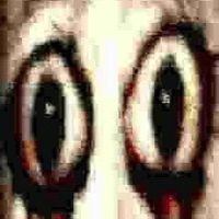 djcjriqdjcjriq