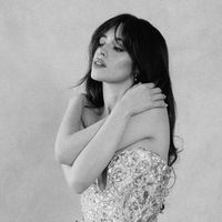 camilizerscentral