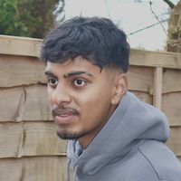 thedesiprince