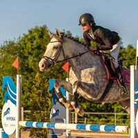 ._.equestre._