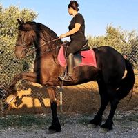 mariavita294
