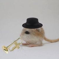 jazzyjerboa08
