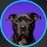 dukeandthegang