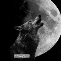 original sound - realnewmoon