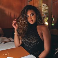ines_hdl
