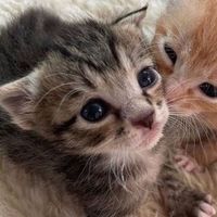 ivymeoww