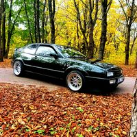 wyckis_vr6