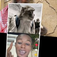 devenofficiel