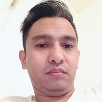 habibmohebi
