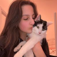 oreo.cat29