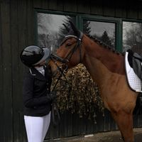 nia_horsevlogs
