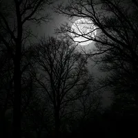 original sound - funnytalk57