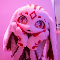 official_lolathebunny