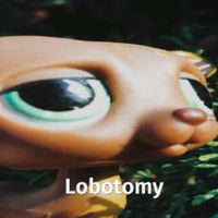 zuro_lps