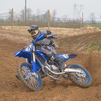 ale_yz011