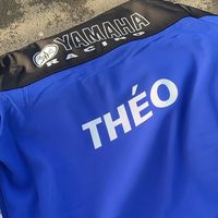 lhb_theo