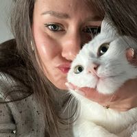 katiacacici
