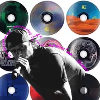 regine je survivrais