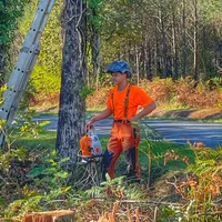 original sound - theo.vlt3