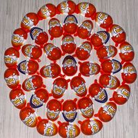 xdmeerschweinchen2.0