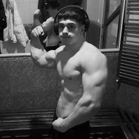 vladtren2
