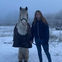moses_and_friends4
