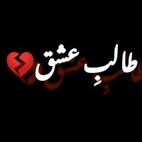 talibeishq60
