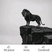 malese.calabrese.7