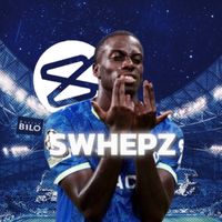 swhepz.tomg