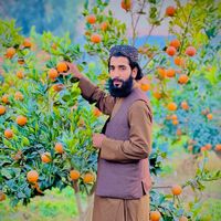 shirzad.999