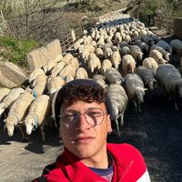 salvatorebonajut