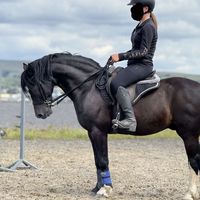 sophial1045