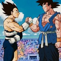 gokuvegueta.01