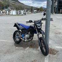 hayden_3873