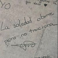 nsquiiensoyy06