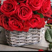 sunet original